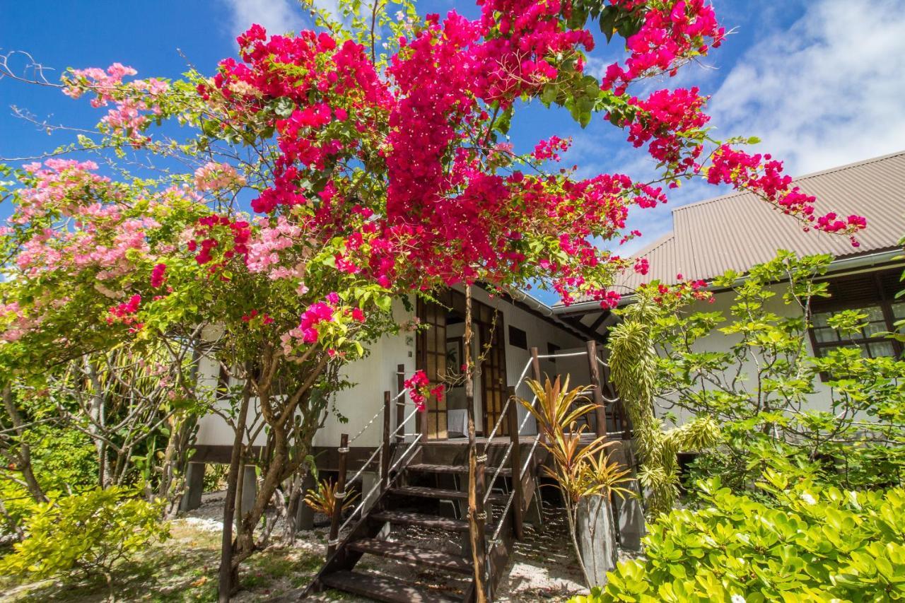 Le Coconut Lodge Avatoru Exteriör bild